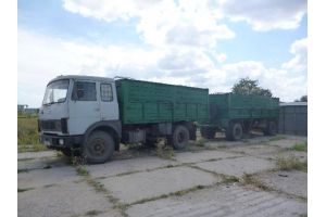 МАЗ/5309,9.1(1994 г.)