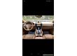 Porsche Cayenne New 3.0, 2013 г.в., фото №4