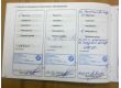 BMW 5 Series Sedan 2.5, 2005 г.в., фото №12