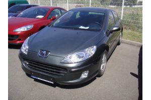 Peugeot/407,2.0(2008 г.)