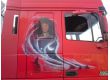 DAF VDL XF 0.1, 2001 г.в., фото №5