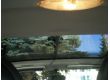 Smart ForTwo 0.7, 2005 г.в., фото №27
