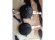 Smart ForTwo 0.7, 2005 г.в., фото №6