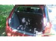 Suzuki SX4 1.6, 2008 г.в., фото №4