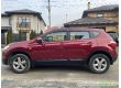 Nissan Qashqai 2.0, 2010 г.в., фото №6