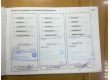 BMW 5 Series Sedan 2.5, 2005 г.в., фото №13
